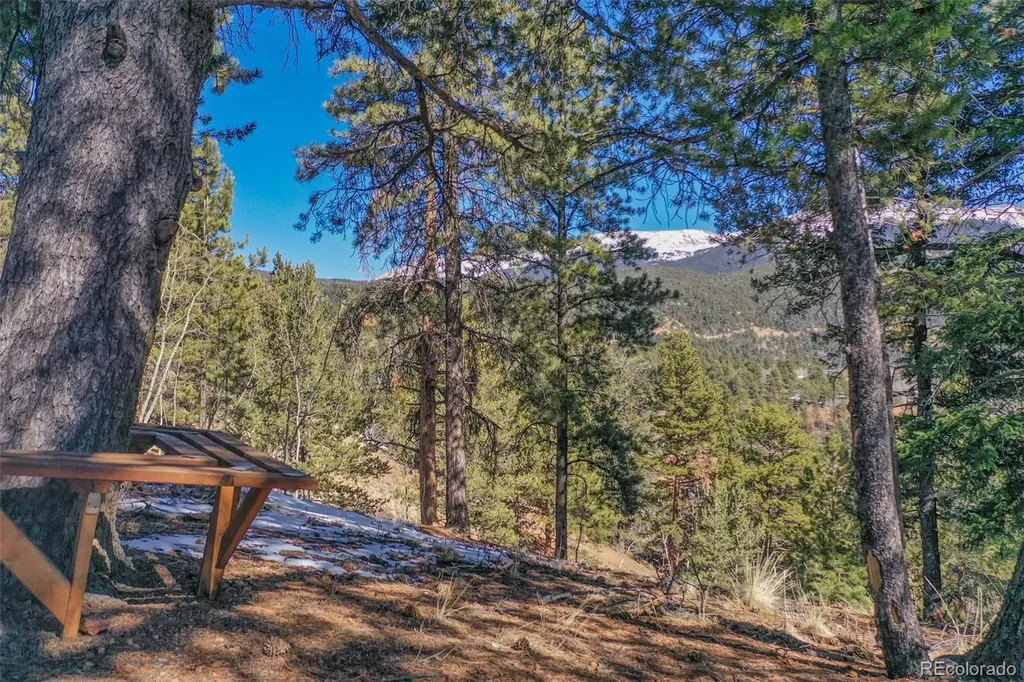 493 Horseshoe Drive Divide CO 80814