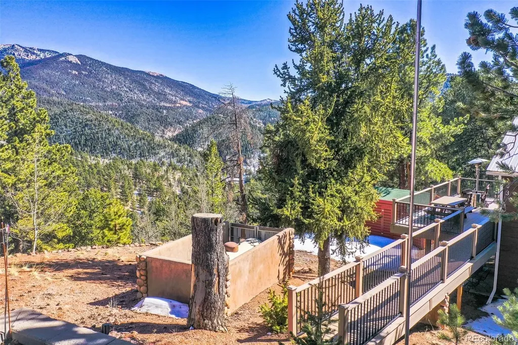 493 Horseshoe Drive Divide CO 80814