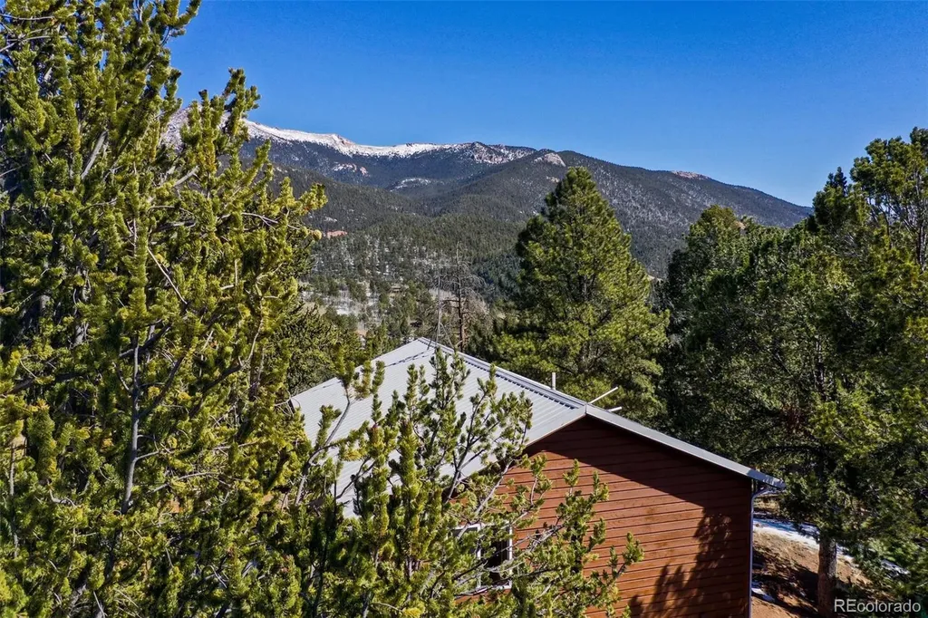 493 Horseshoe Drive Divide CO 80814