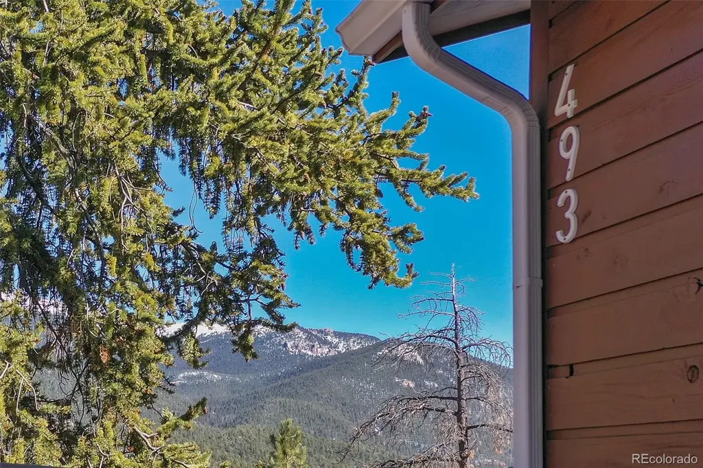 493 Horseshoe Drive Divide CO 80814