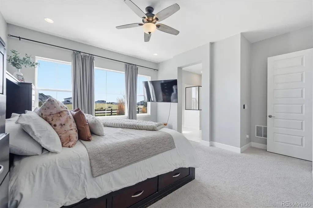3258 Carabiner Street Castle Rock CO 80108