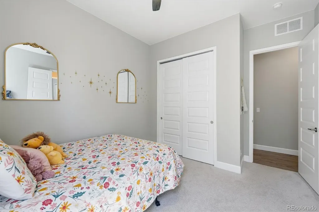 3258 Carabiner Street Castle Rock CO 80108