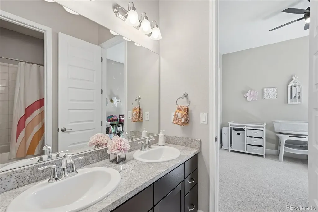 3258 Carabiner Street Castle Rock CO 80108