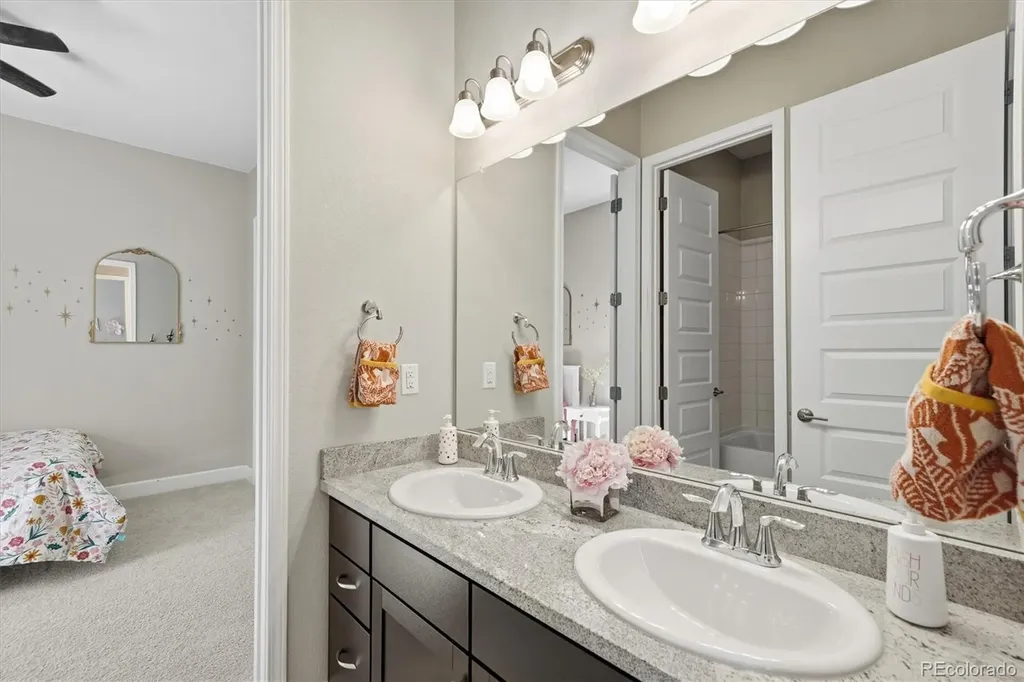 3258 Carabiner Street Castle Rock CO 80108