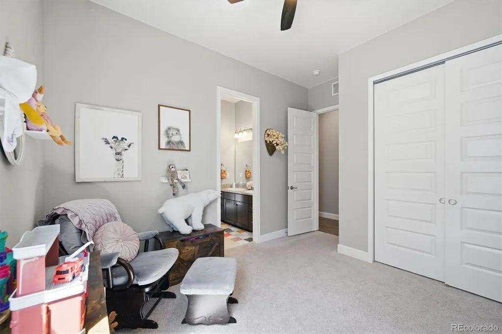 3258 Carabiner Street Castle Rock CO 80108