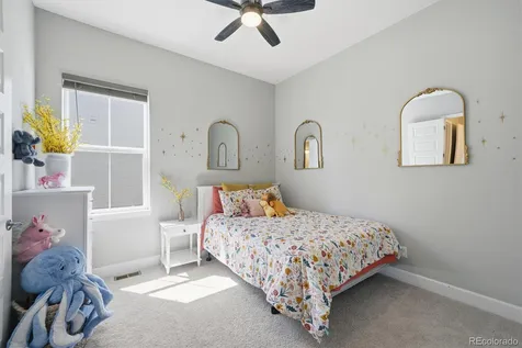3258 Carabiner Street Castle Rock CO 80108
