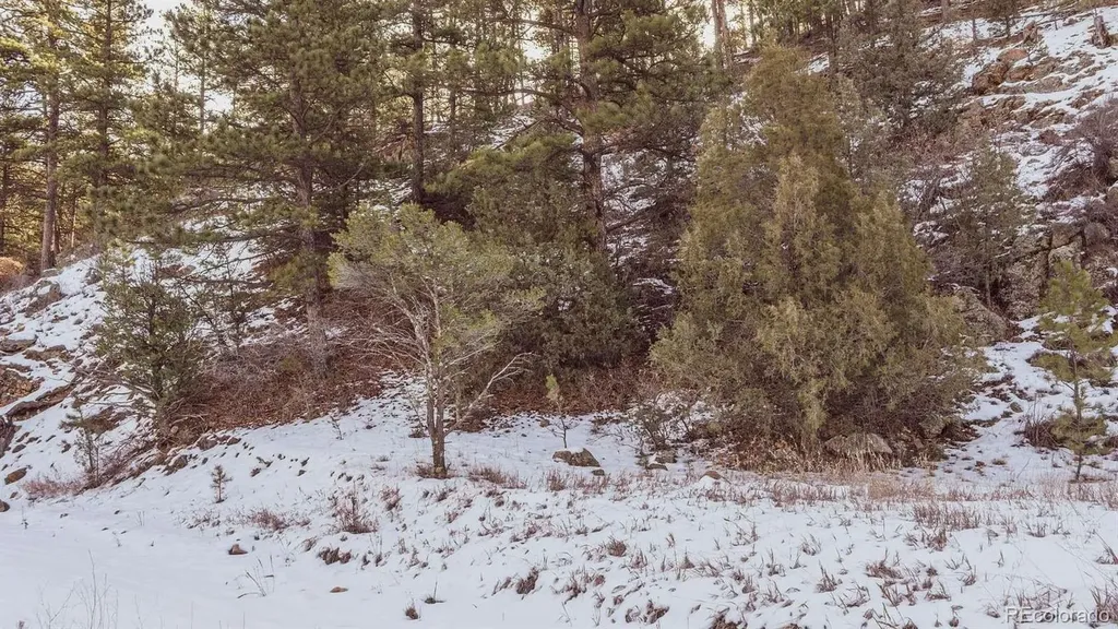 Gulch Road Cotopaxi CO 81223
