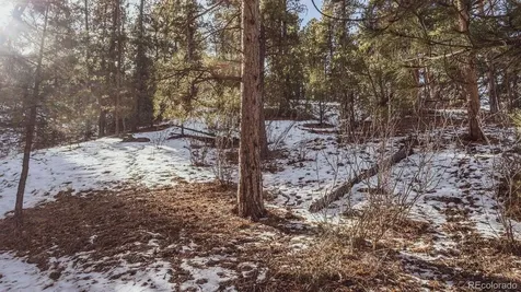 Gulch Road Cotopaxi CO 81223