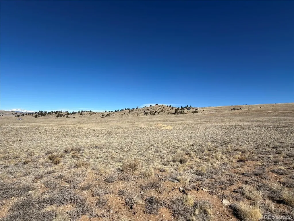 0005 Coyotero Trail Hartsel CO 80449