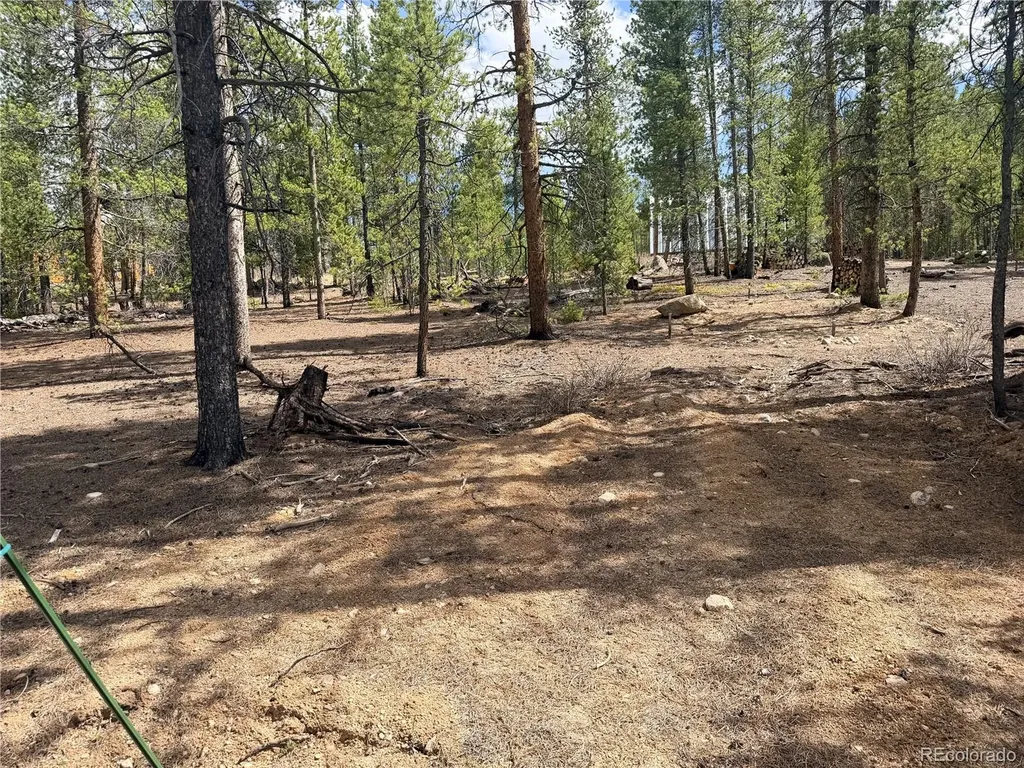 198 Juniper Drive Twin Lakes CO 81251
