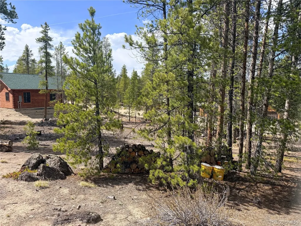 198 Juniper Drive Twin Lakes CO 81251