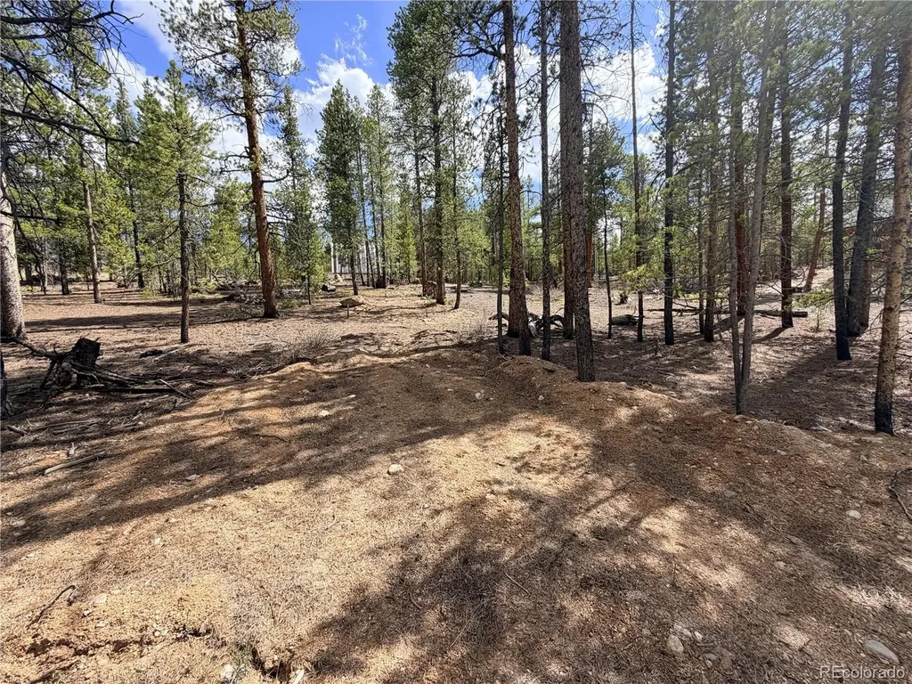 198 Juniper Drive Twin Lakes CO 81251