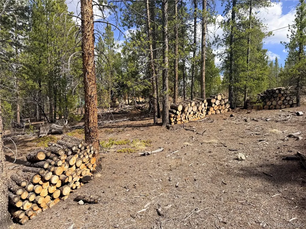 198 Juniper Drive Twin Lakes CO 81251