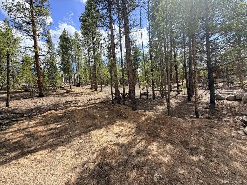 198 Juniper Drive Twin Lakes CO 81251