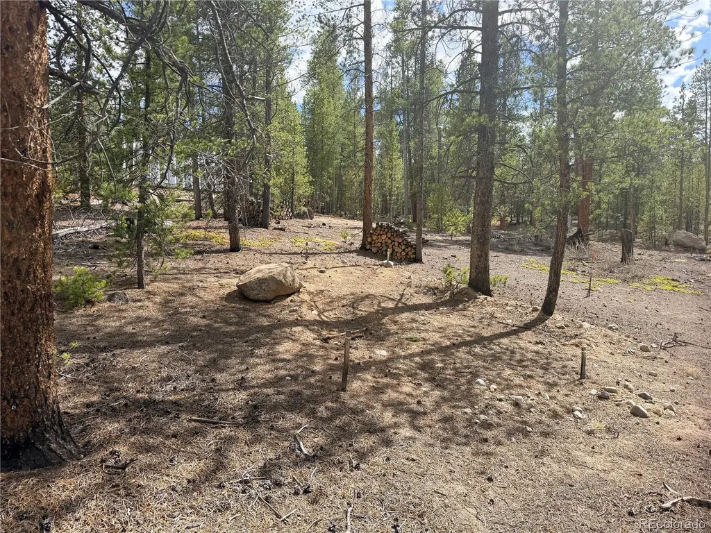 198 Juniper Drive Twin Lakes CO 81251