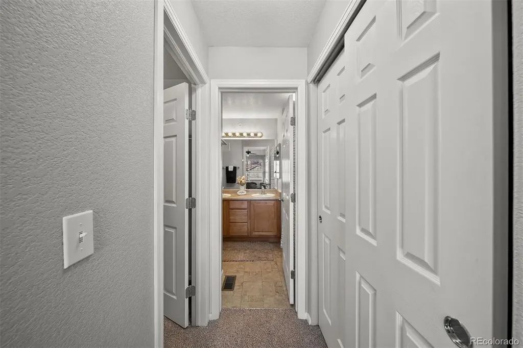 431 Black Feather Loop Castle Rock CO 80104