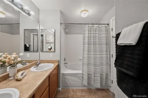 431 Black Feather Loop Castle Rock CO 80104