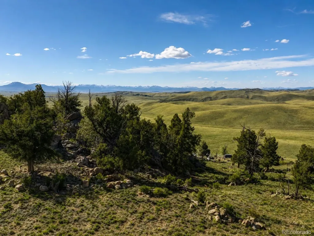 2171 Watonga Road Hartsel CO 80449