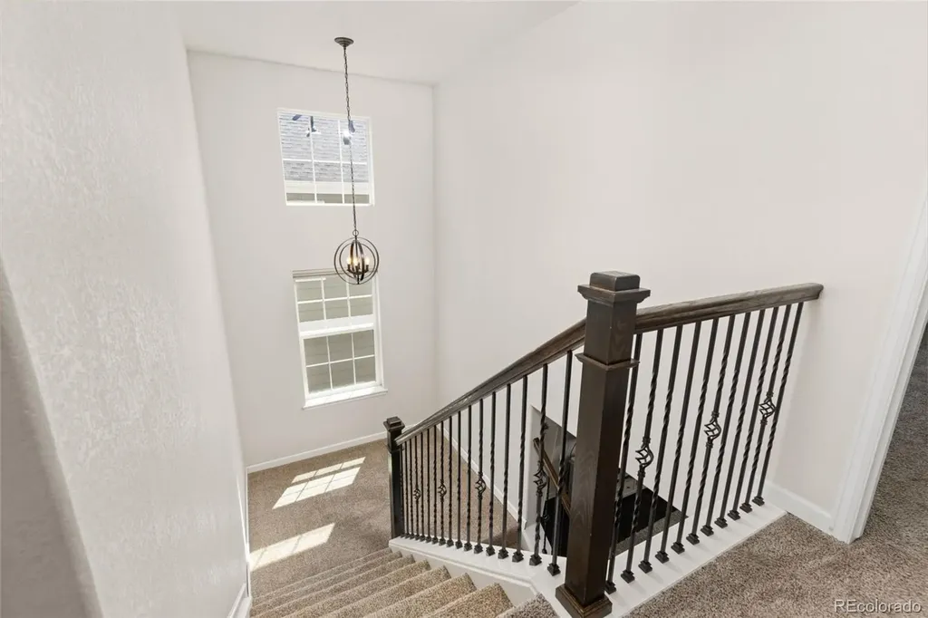 1908 Treetop Drive Castle Rock CO 80109