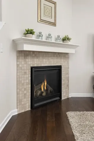 1908 Treetop Drive Castle Rock CO 80109