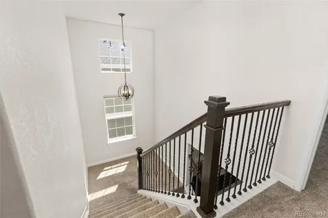 1908 Treetop Drive Castle Rock CO 80109