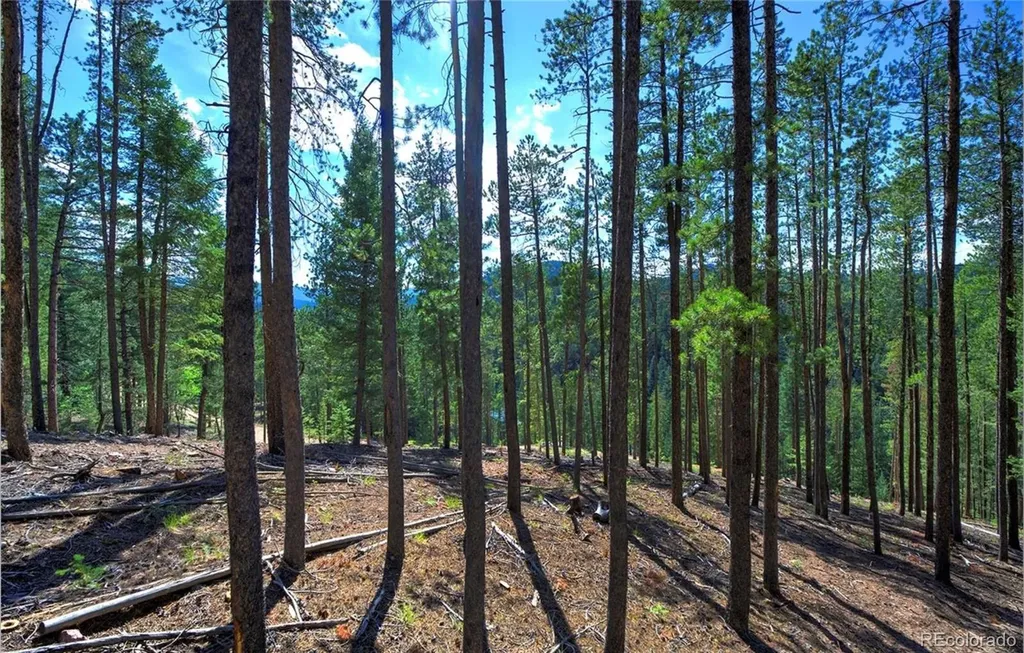 6824 Lynx Lair Road Evergreen CO 80439