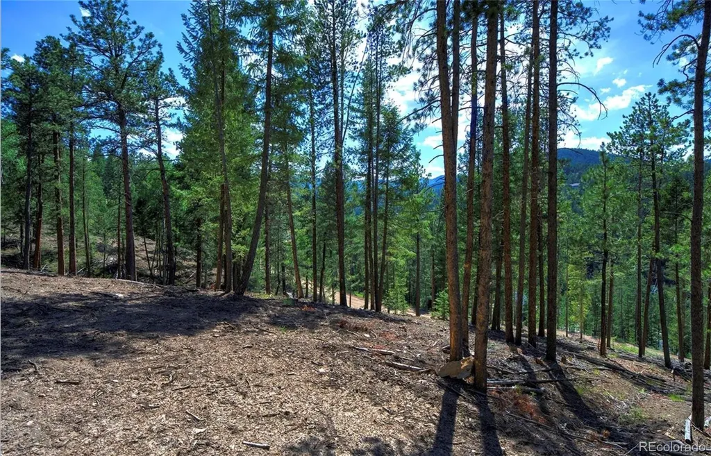 6824 Lynx Lair Road Evergreen CO 80439