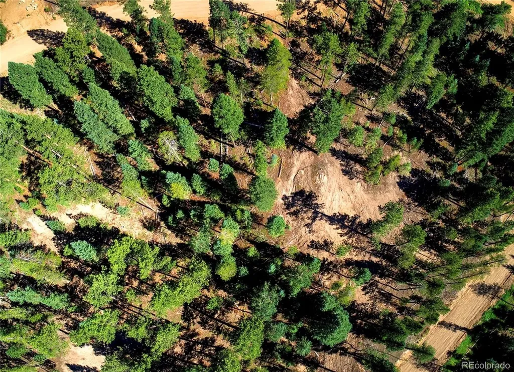 6824 Lynx Lair Road Evergreen CO 80439