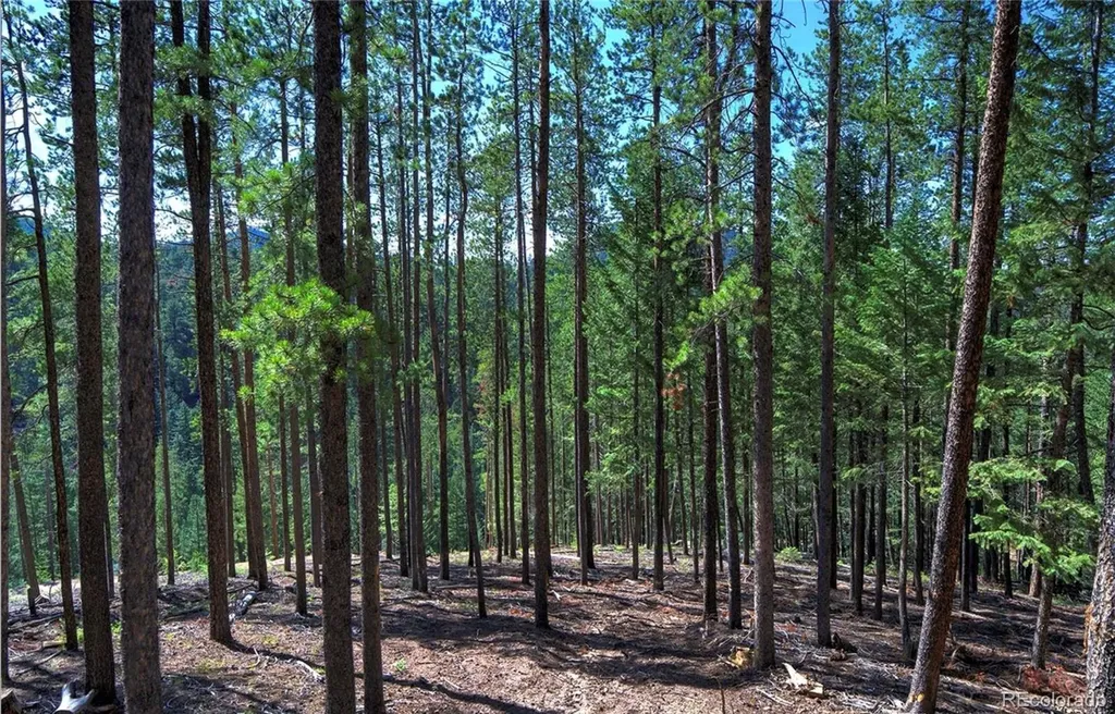 6824 Lynx Lair Road Evergreen CO 80439