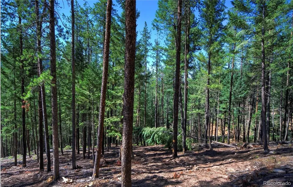 6824 Lynx Lair Road Evergreen CO 80439