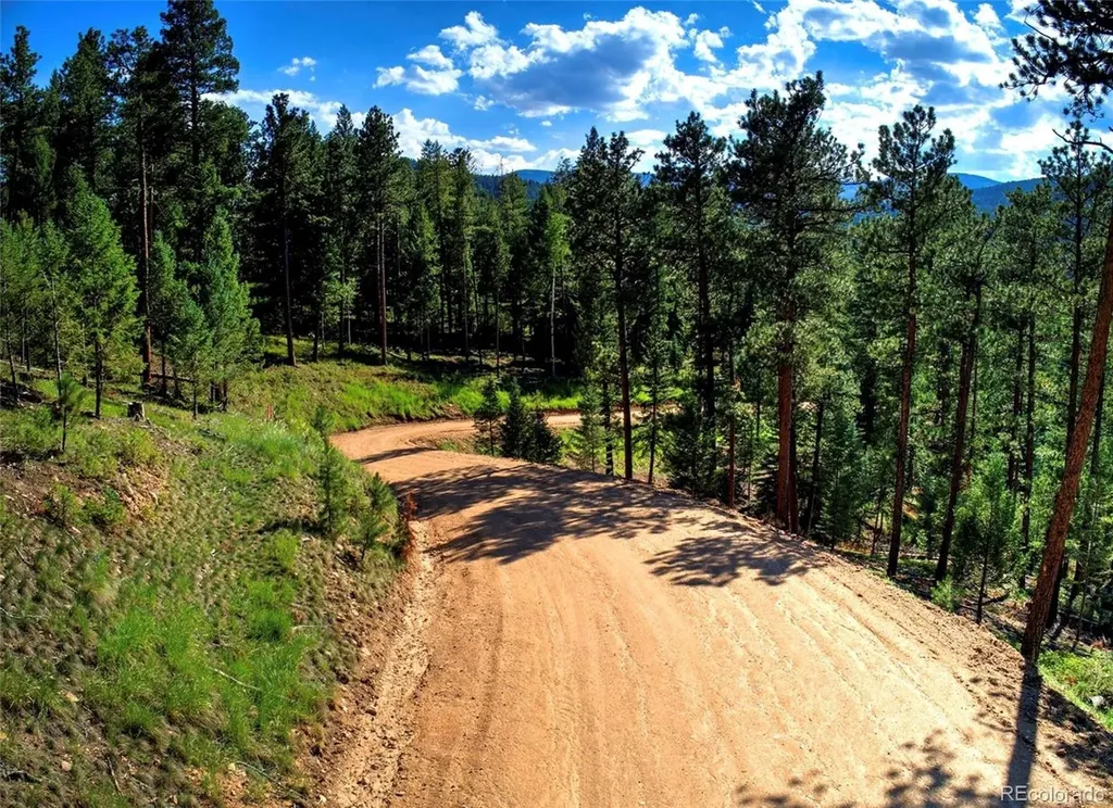 6824 Lynx Lair Road Evergreen CO 80439