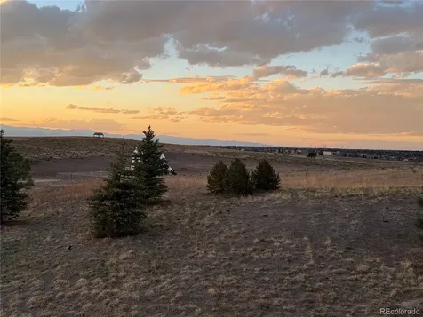 10689 Shadow Pines Road Parker CO 80138