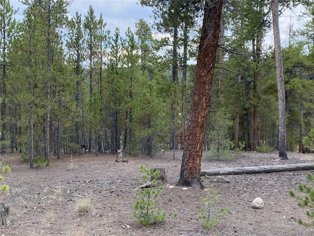 340 Peak View Drive Twin Lakes CO 80461