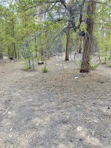 340 Peak View Drive Twin Lakes CO 80461