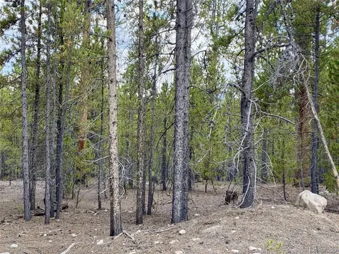 340 Peak View Drive Twin Lakes CO 80461