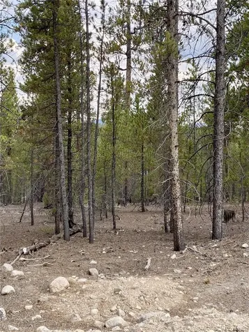 340 Peak View Drive Twin Lakes CO 80461
