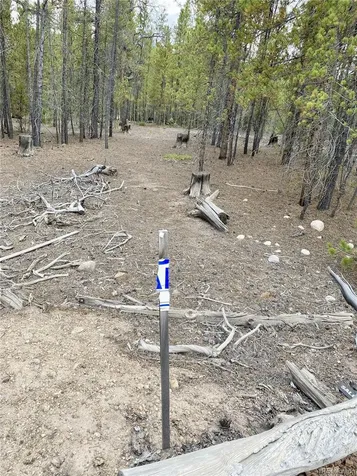 340 Peak View Drive Twin Lakes CO 80461