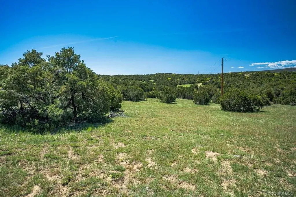 324 Chaps Court Walsenburg CO 81089