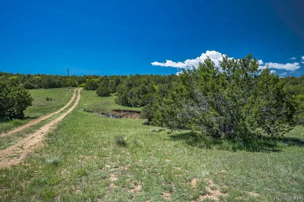 324 Chaps Court Walsenburg CO 81089