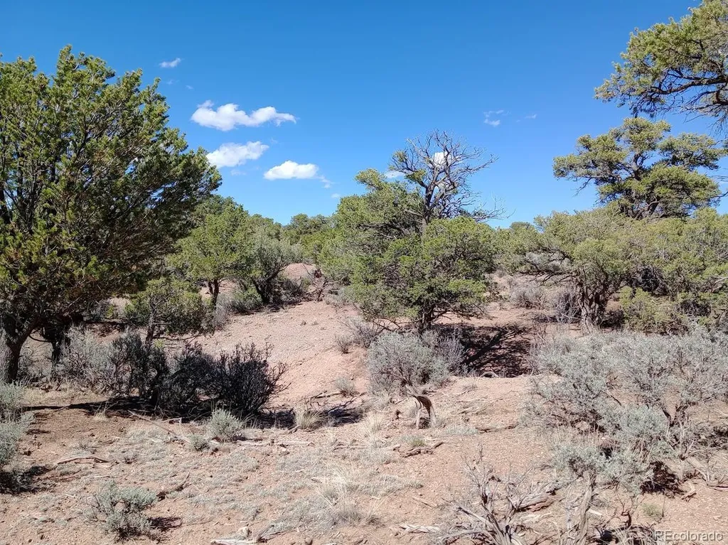 5 Acres Reg Jones Road Fort Garland CO 81133