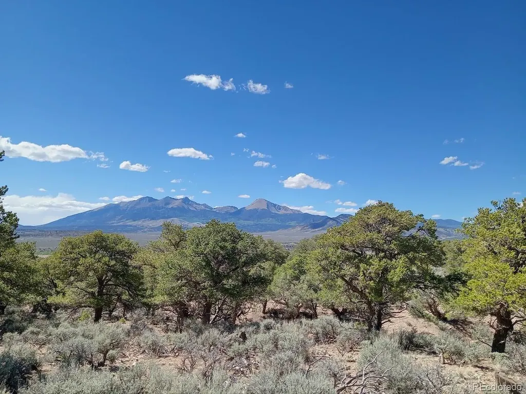 5 Acres Reg Jones Road Fort Garland CO 81133
