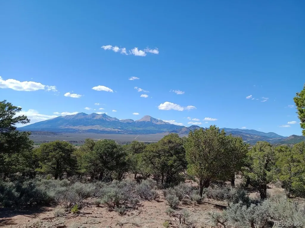 5 Acres Reg Jones Road Fort Garland CO 81133