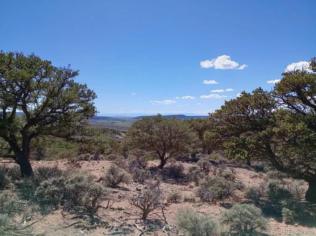 5 Acres Reg Jones Road Fort Garland CO 81133