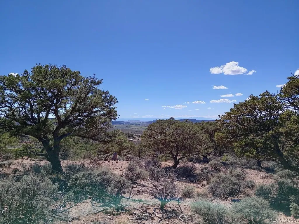 5 Acres Reg Jones Road Fort Garland CO 81133