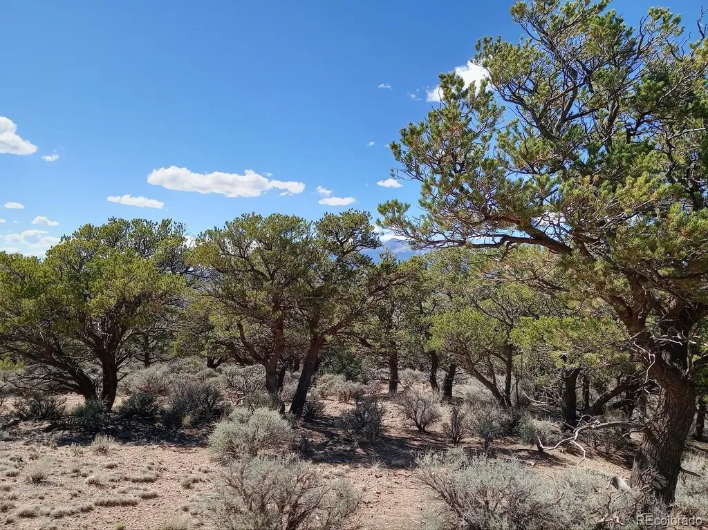 5 Acres Reg Jones Road Fort Garland CO 81133