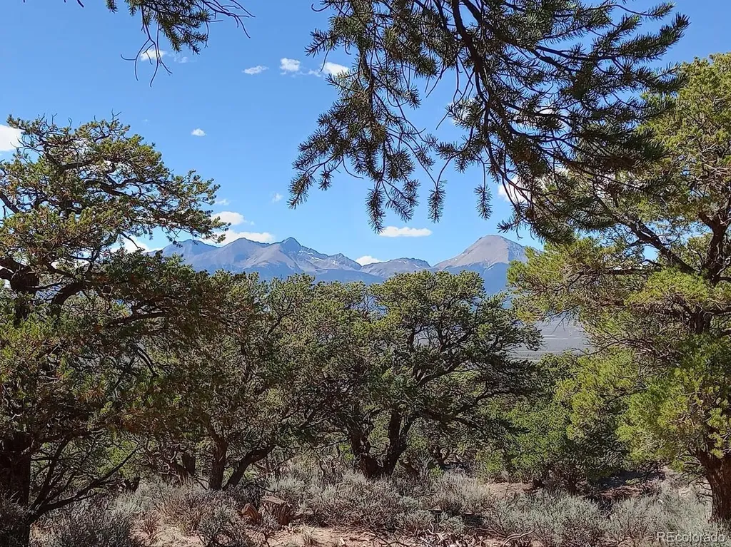 5 Acres Reg Jones Road Fort Garland CO 81133