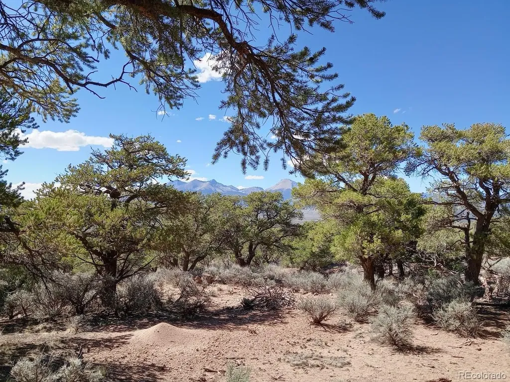5 Acres Reg Jones Road Fort Garland CO 81133