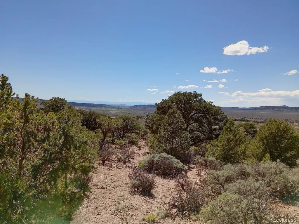 5 Acres Reg Jones Road Fort Garland CO 81133