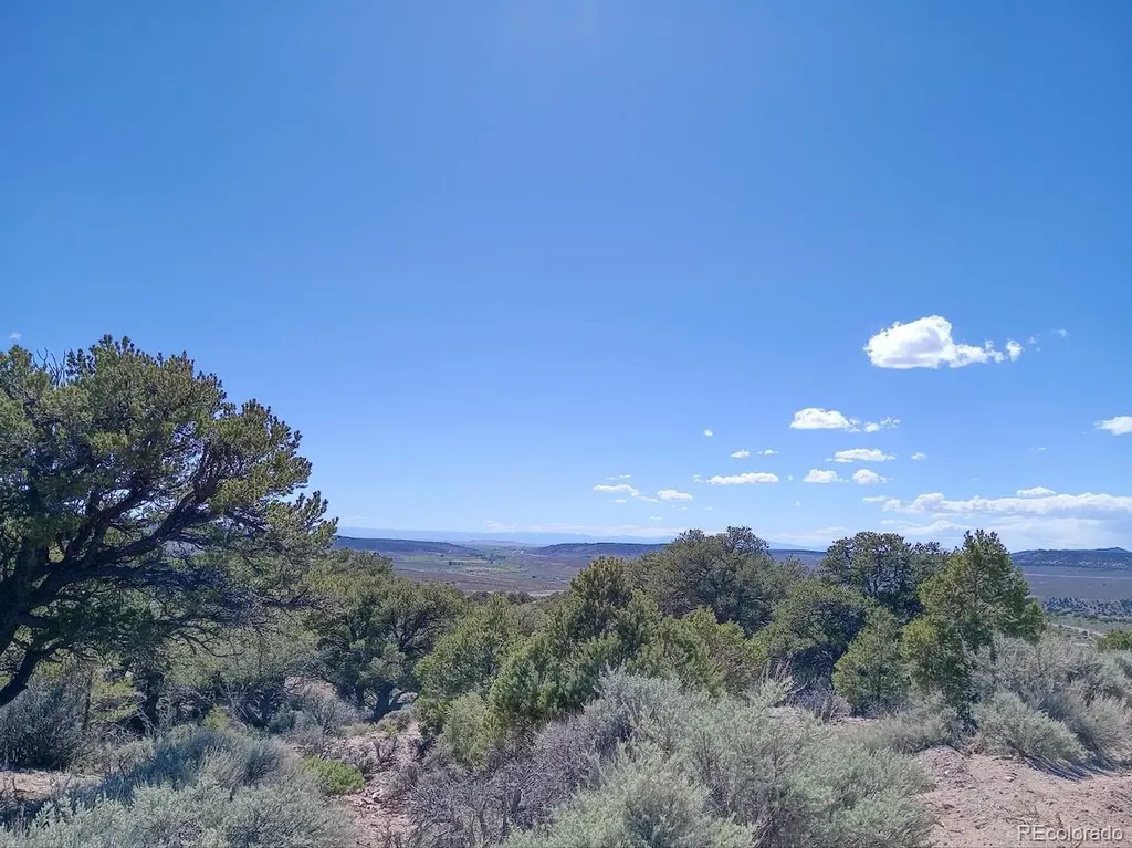 5 Acres Reg Jones Road Fort Garland CO 81133