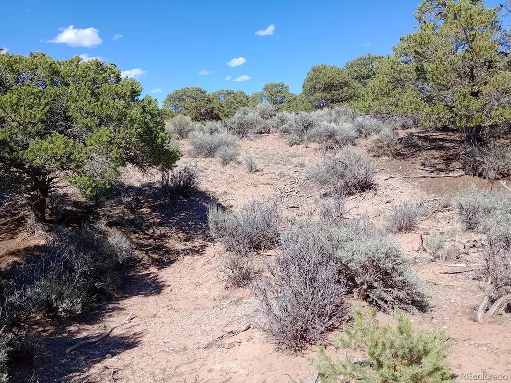 5 Acres Reg Jones Road Fort Garland CO 81133